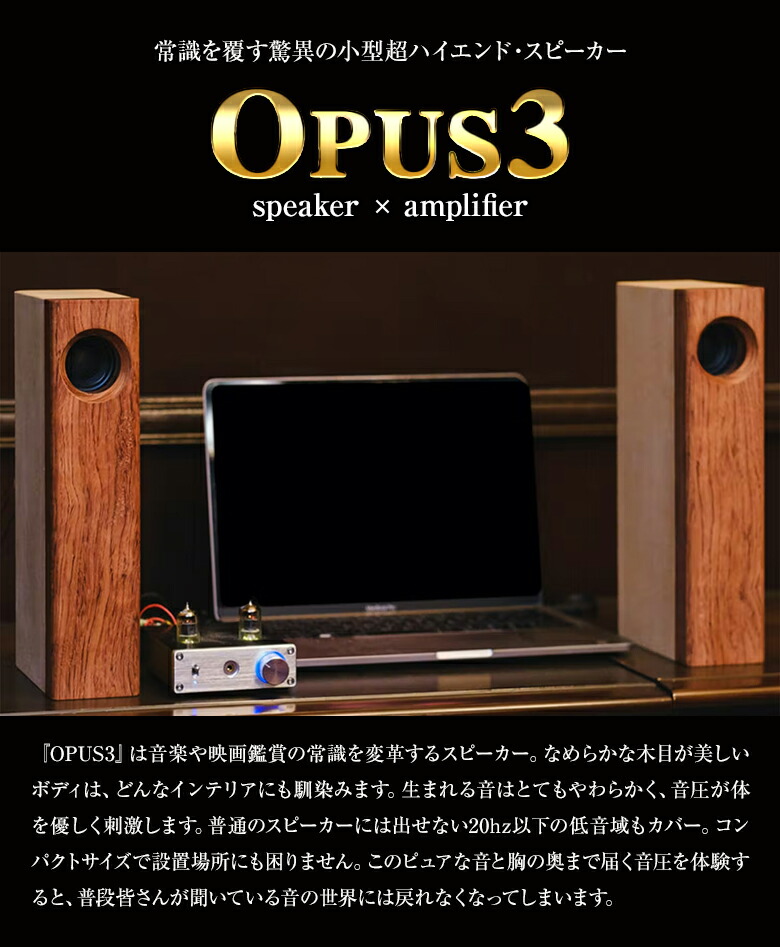 vintageJoin 鉄と木のスピーカー、アンプセット vintageJoin 鉄と木の