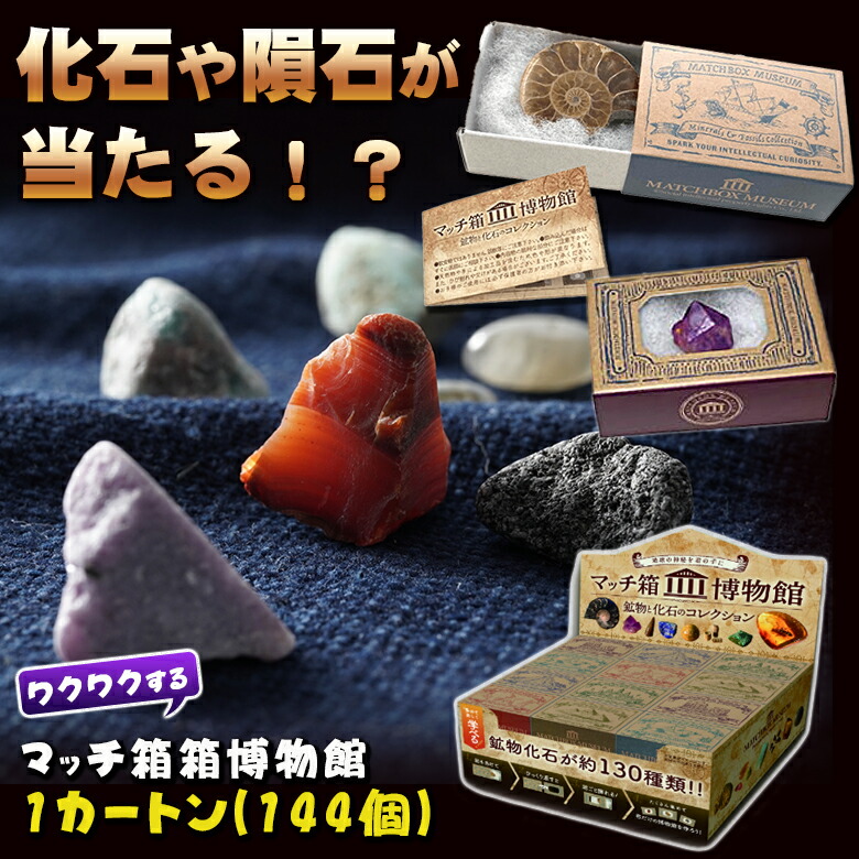 楽天市場】鉱物と化石のコレクション 1カートン(144個セット) 科学雑貨