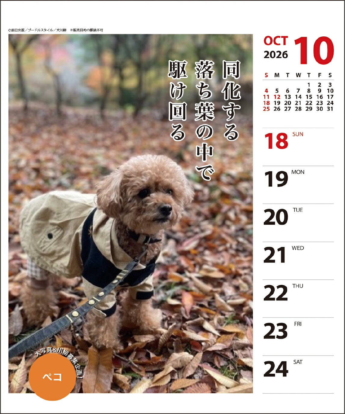 アンティーク プードルの日めくりカレンダー アンティーク プードルの