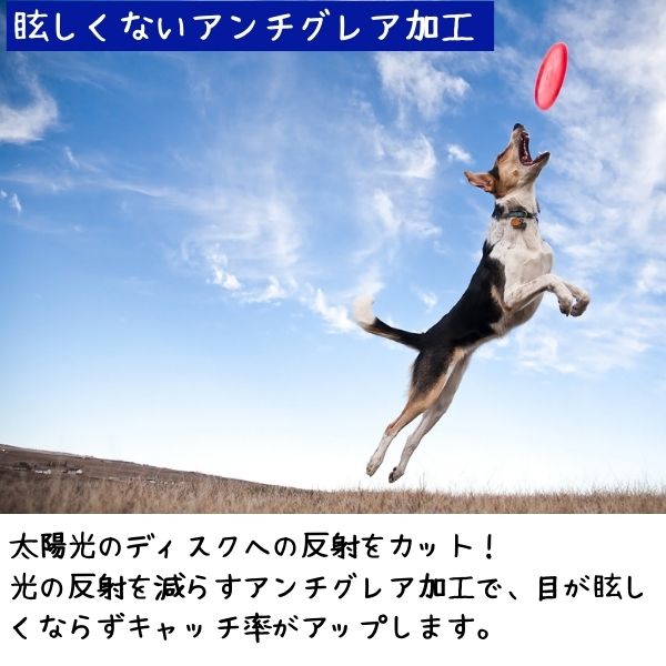新品未使用】犬用 ディスク フリスビー ミスプリント 夏用 パープル 10