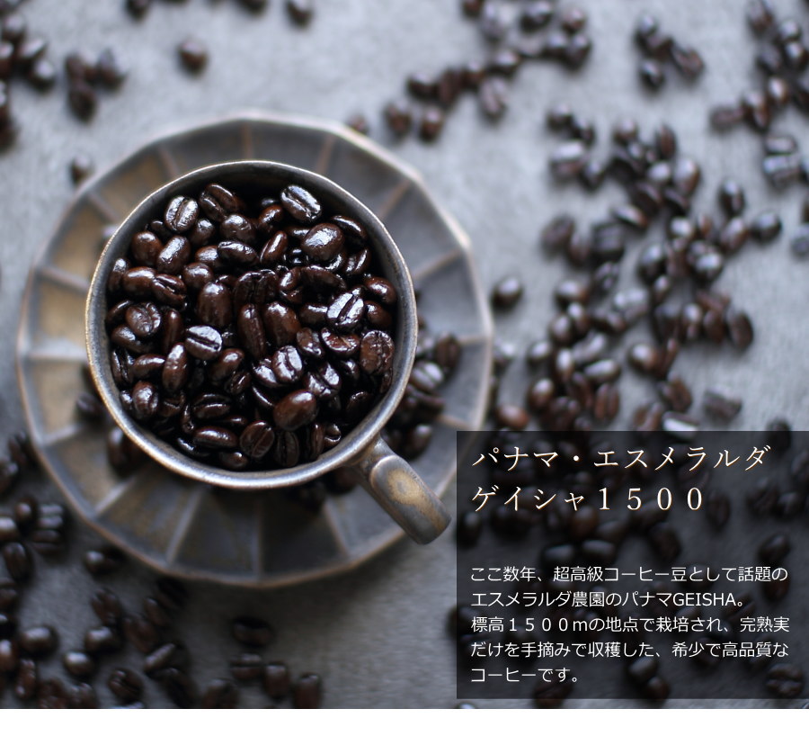 楽天市場】バレンタイン ギフト 2026 パナマ ゲイシャ ドリップバッグ