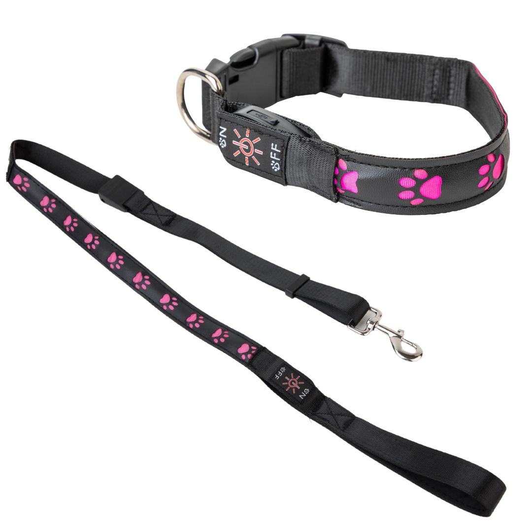 楽天市場】首輪とリードセット 犬リードと首輪 LED光るリード 犬 散歩