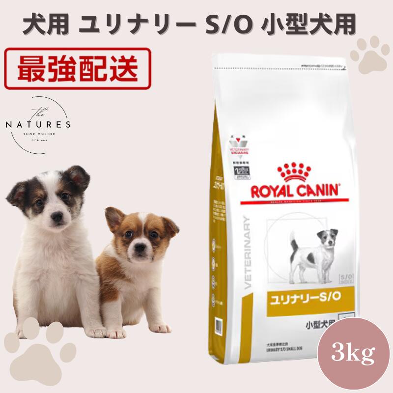 ロイヤルカナン ユリナリーs/o 小型犬 3kg」の人気商品一覧 | 安い商品