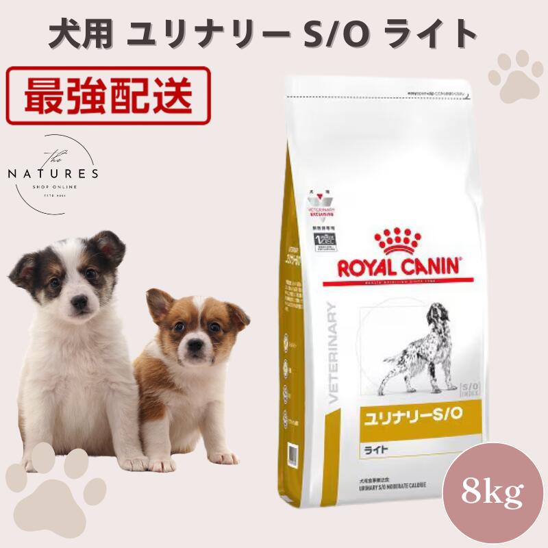 ロイヤルカナン ユリナリーs/o 犬用」の人気商品一覧 | 安い商品を通販