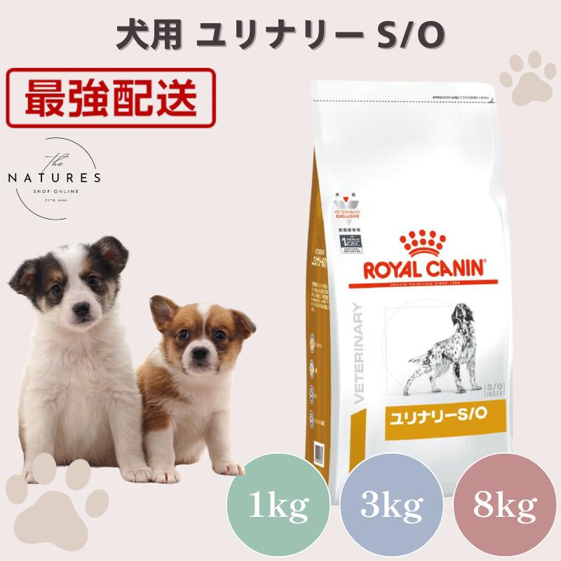 楽天市場】ユリナリー s o ライト 犬の通販
