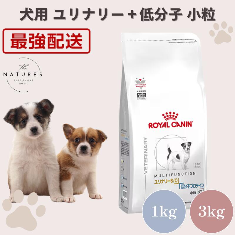 ロイヤルカナン ユリナリーs/o 低分子プロテイン」の人気商品一覧