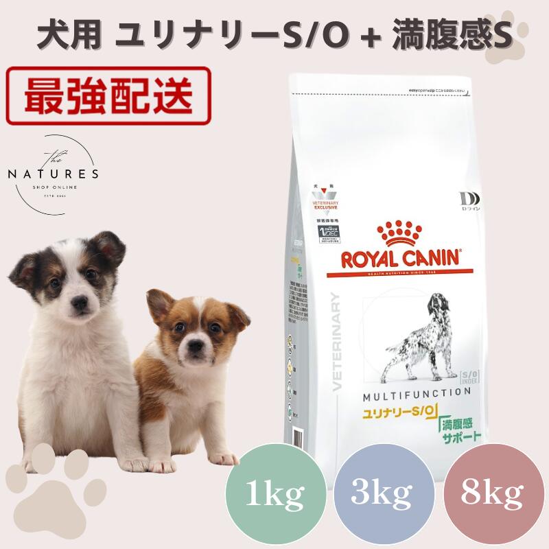 ロイヤルカナン 満腹感サポート3kg」の人気商品一覧 | 安い商品を通販