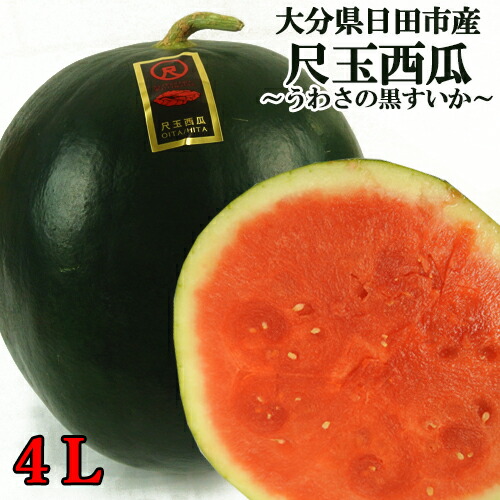 楽天市場】【季節限定】うわさの黒スイカ 大分県産尺玉すいか 4L JA