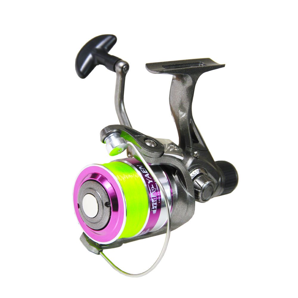 ルアンプーリール師 タオリエン(亀型プラクルアン) ルアンプーリール師