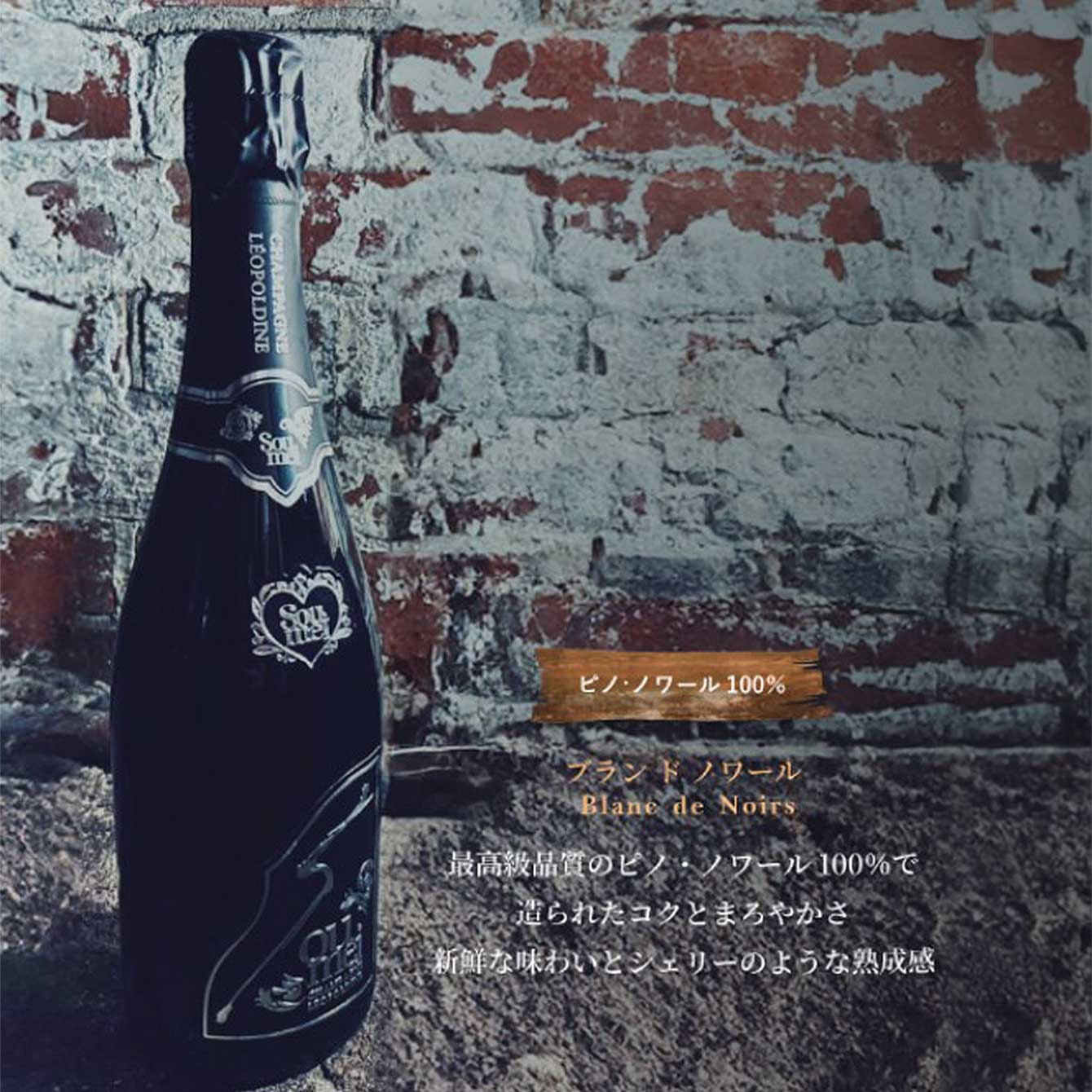 楽天市場】＊楽天ランキング受賞＊ ＜正規品＞ソウメイ アタッシュ6本