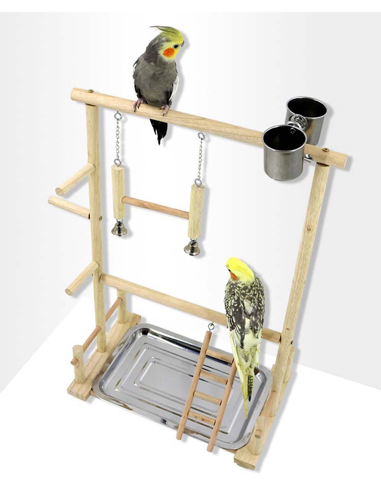 楽天市場】バードアスレチックL バードジム セキセイインコ