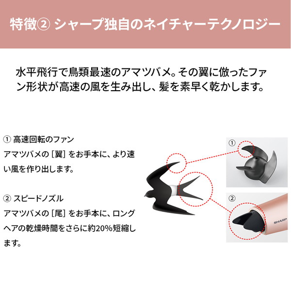 楽天市場】シャープ SHARP IB-NP9-V パープル系コズミックパープル