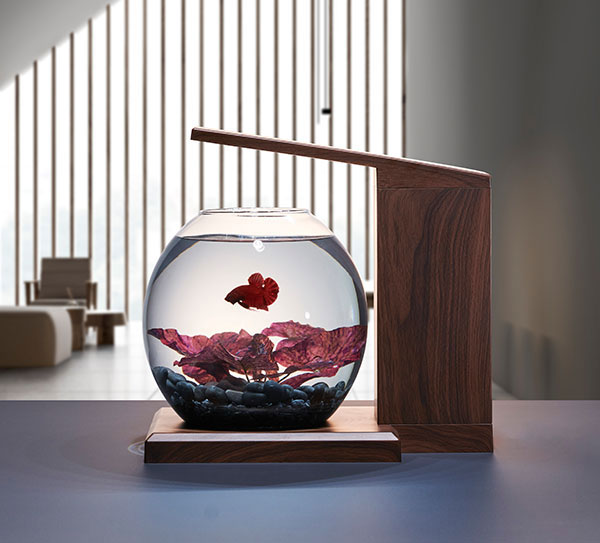 楽天市場】GEX グラスアクア ペルコ PERCO B-Dark Wood