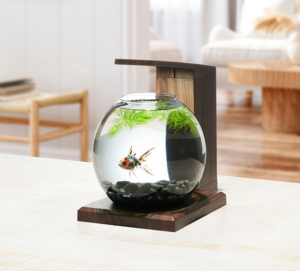 楽天市場】GEX グラスアクア ペルコ PERCO B-Dark Wood