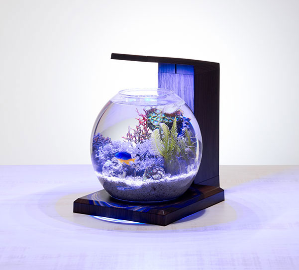 新品】GEXオールインワン水槽 ペルコ ブラック グラスアクア PERCO C