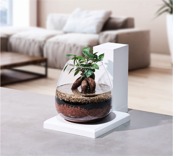 楽天市場】GEX グラスアクア ペルコ PERCO T-WH オールインワン水槽