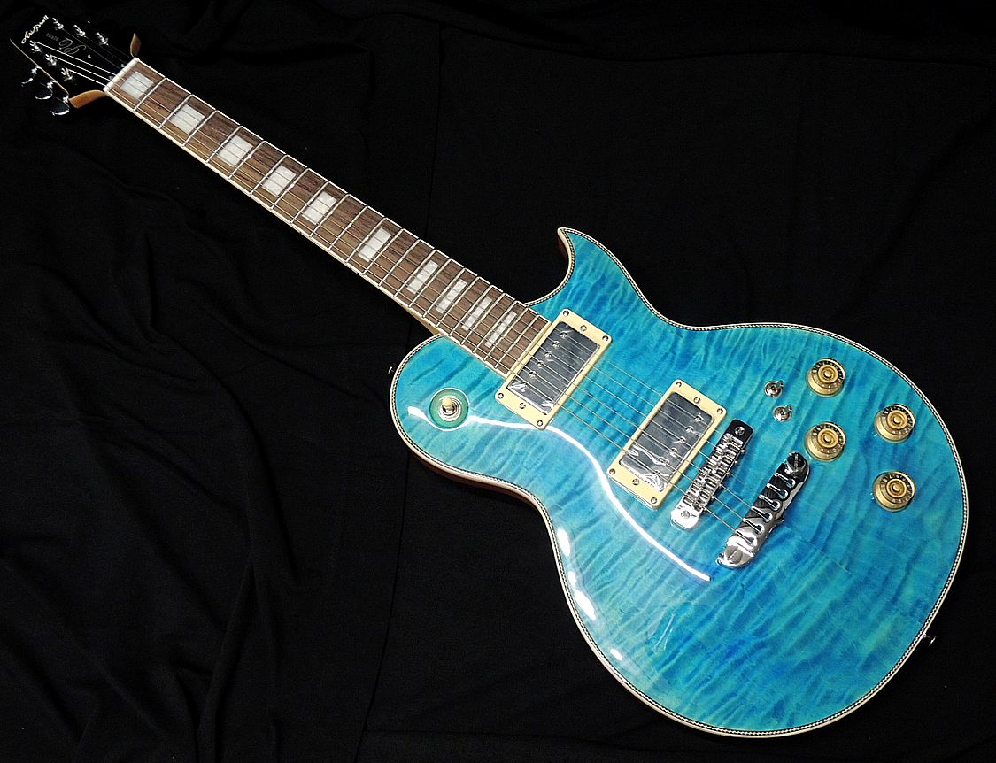 Aria Pro II ソフトケース＆トレモロ付き 送料込み Aria Pro II ソフト