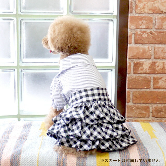 楽天市場】【在庫一掃】清楚なお嬢様風♪リボン付クラシック