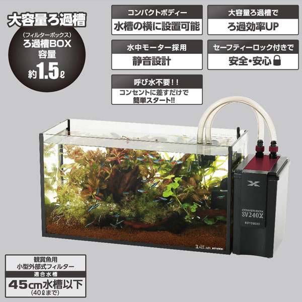 水槽、外部式濾過、ライトのセット