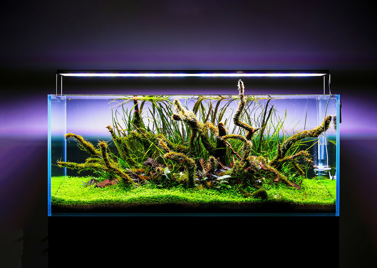 ツインスターLED 900SM メタルスタンドフルスペクトル S-LINE