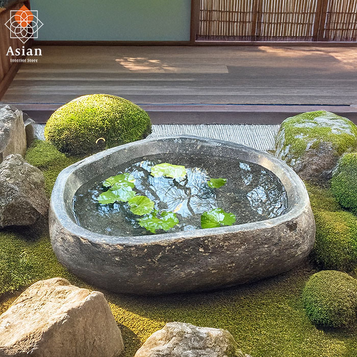 佐治石〈29〉【Taiyoメダカ】