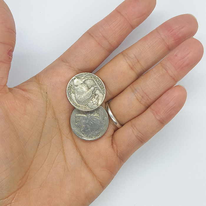 楽天市場】coin-4□5セントコイン インディアン&バッファロー【1930