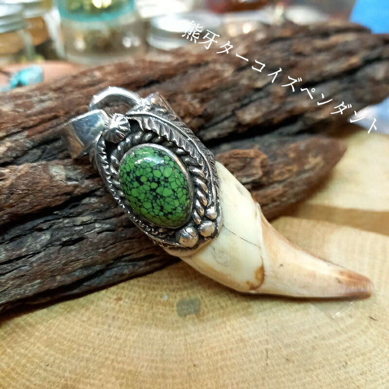 熊牙 熊歯 熊の牙 ネックレス キーホルダー 新作 送料無料 熊牙 熊歯