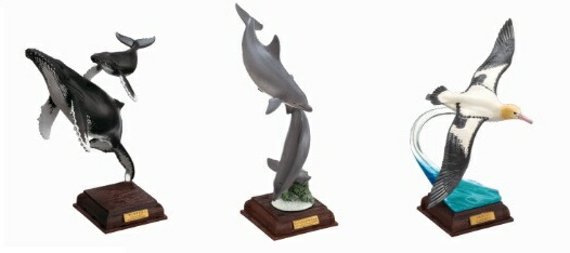 小笠原 ザトウクジラ テストショット ネイチャーテクニカラー