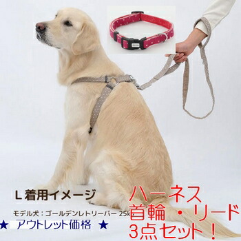 楽天市場】アウトレット！大型犬用 カラー（首輪）＆リード＆ハーネス