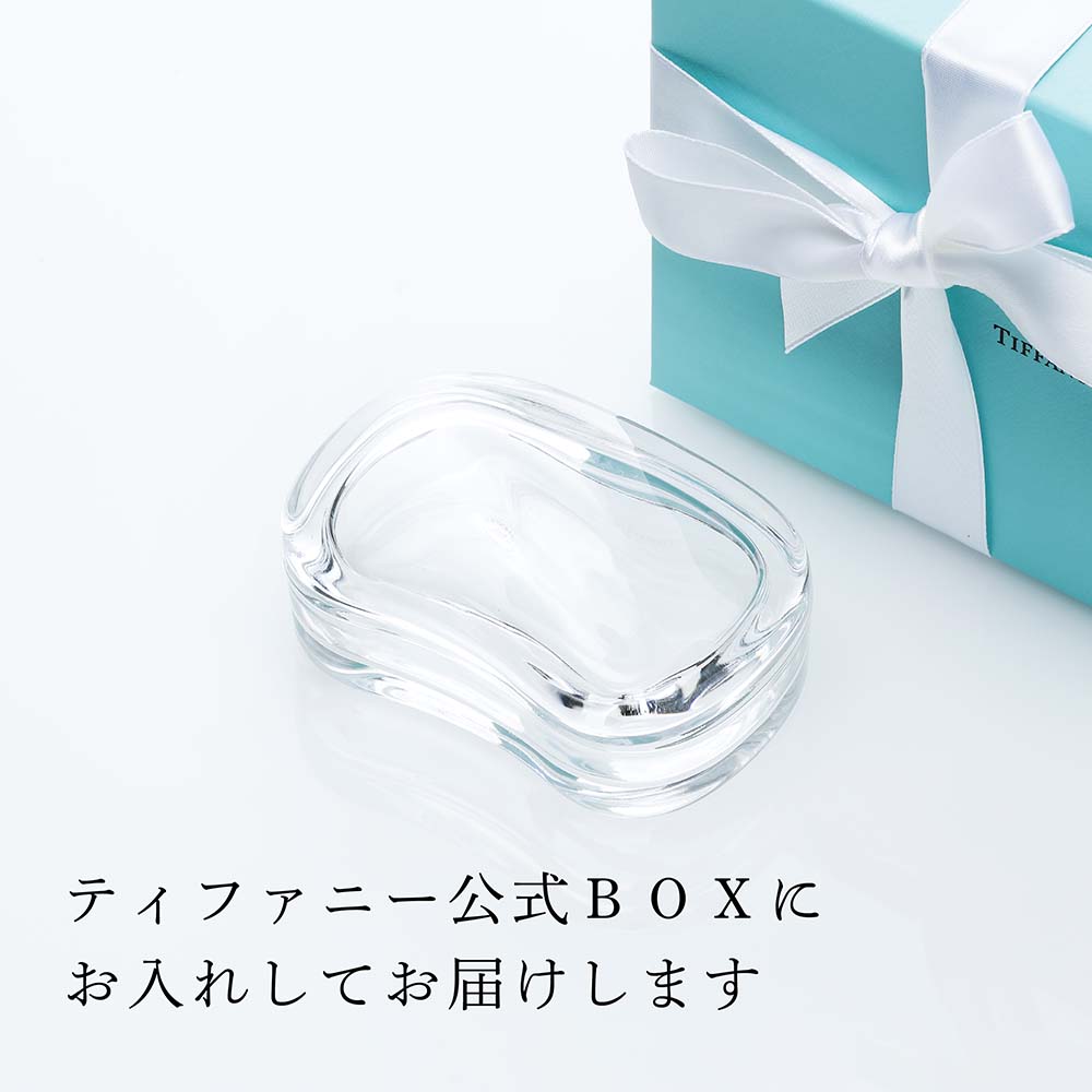 現行品 Tiffanyティファニー 高級ネックレスケース TIFFANY&Co
