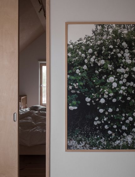 楽天市場】FINE LITTLE DAY | WHITE ROSES POSTER | アートプリント