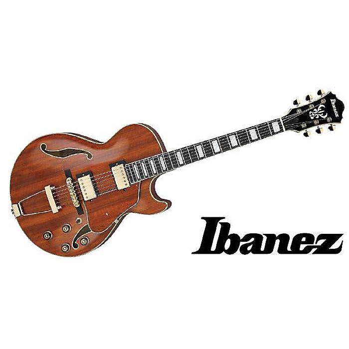 アイバニーズ Artcore AG95 DBS (エレキギター) 価格比較 - 価格.com