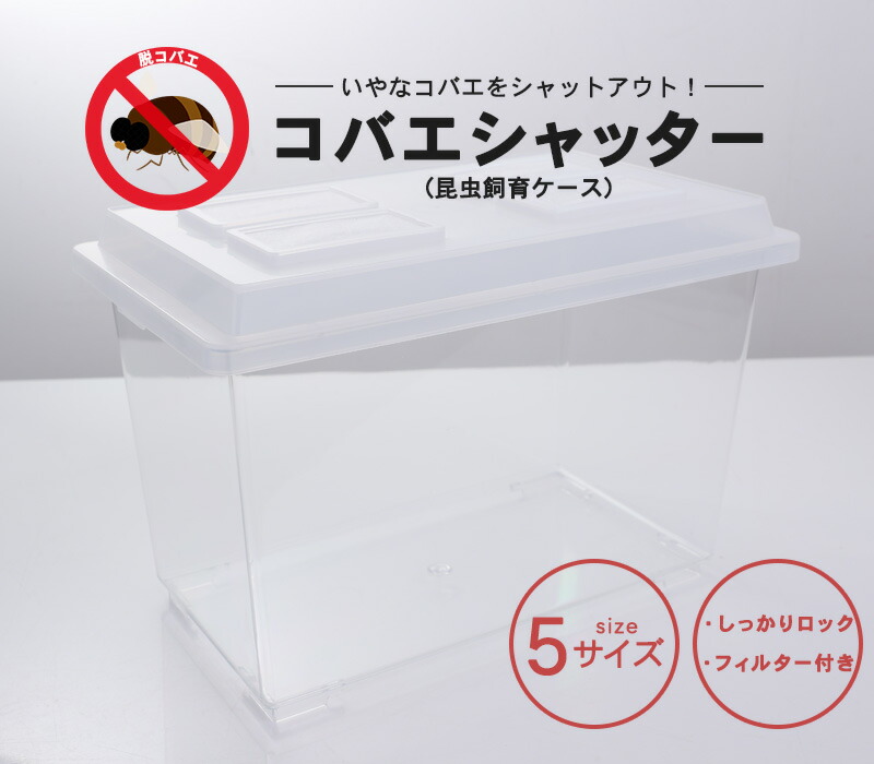 楽天市場】むしや本舗 コバエシャッター 昆虫飼育ケース フィルター