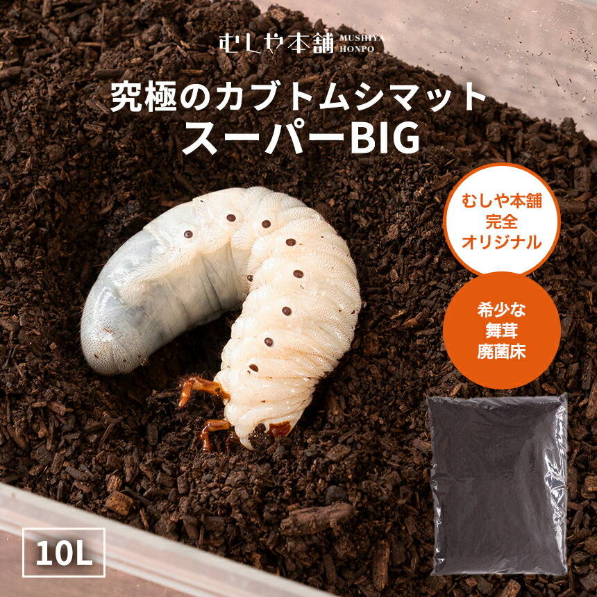 カブトムシ幼虫を低価格で大きくできる！ハイコスパ完熟発酵マット