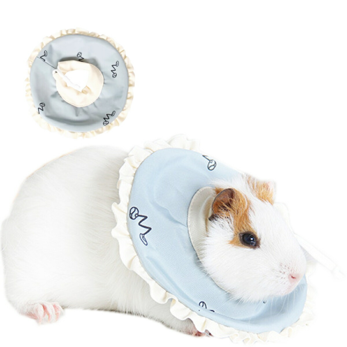 生葉/野草 ○セミオーダーページ○ ウサギ ハムスター リクガメ