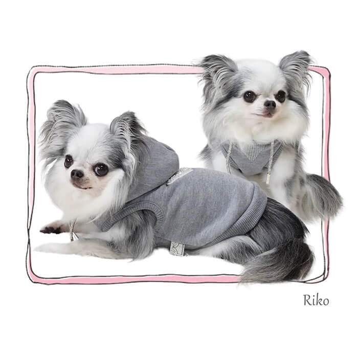 楽天市場】※SALE 30％OFF ※ circus circus サーカスサーカス Classy