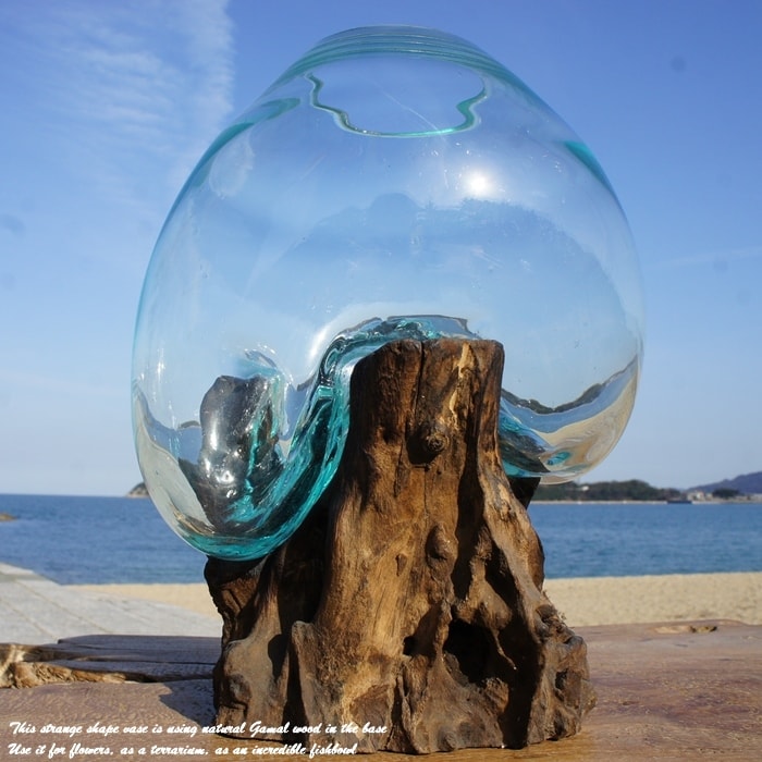 デッカい流木ガラスオブジェWC 花瓶 金魚鉢 水槽 苔リウム メダカ容器
