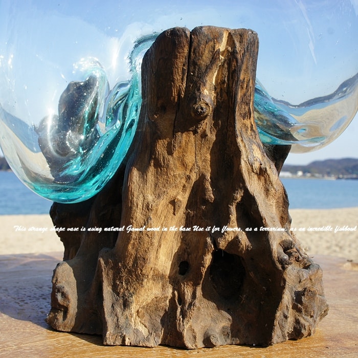 流木ガラスオブジェ大E 花瓶 金魚鉢 ガーデニング フラワーポット 水槽