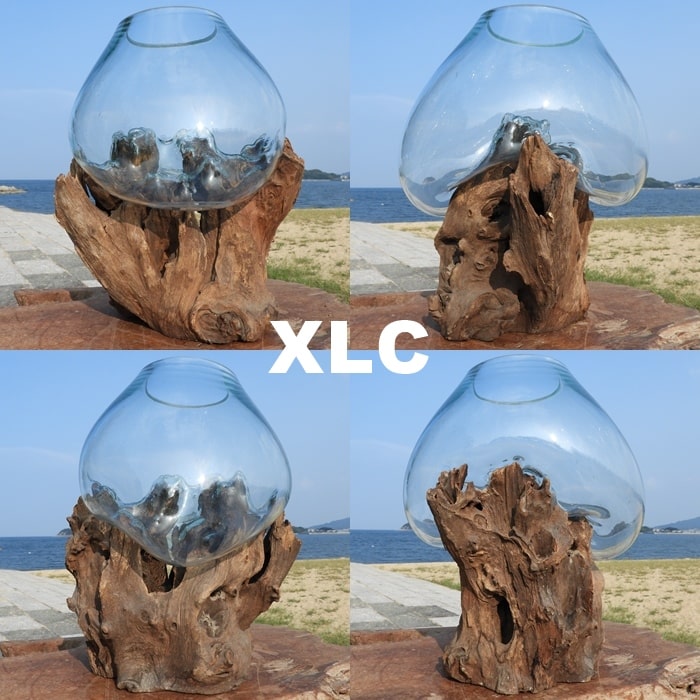 超超特大流木ガラスオブジェWB 花瓶 金魚鉢 水槽 苔リウム メダカ容器