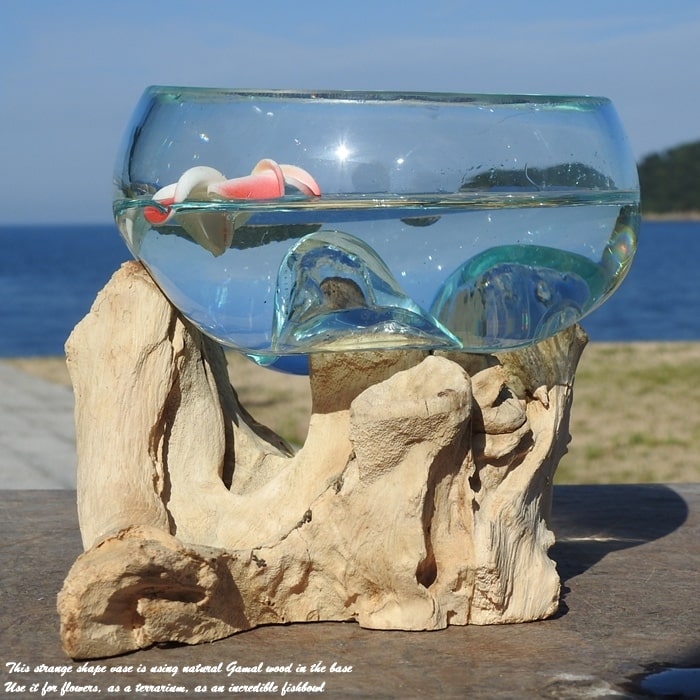 流木ガラス オブジェ中P 花瓶 金魚鉢 ガーデニング テラリウム 観賞魚