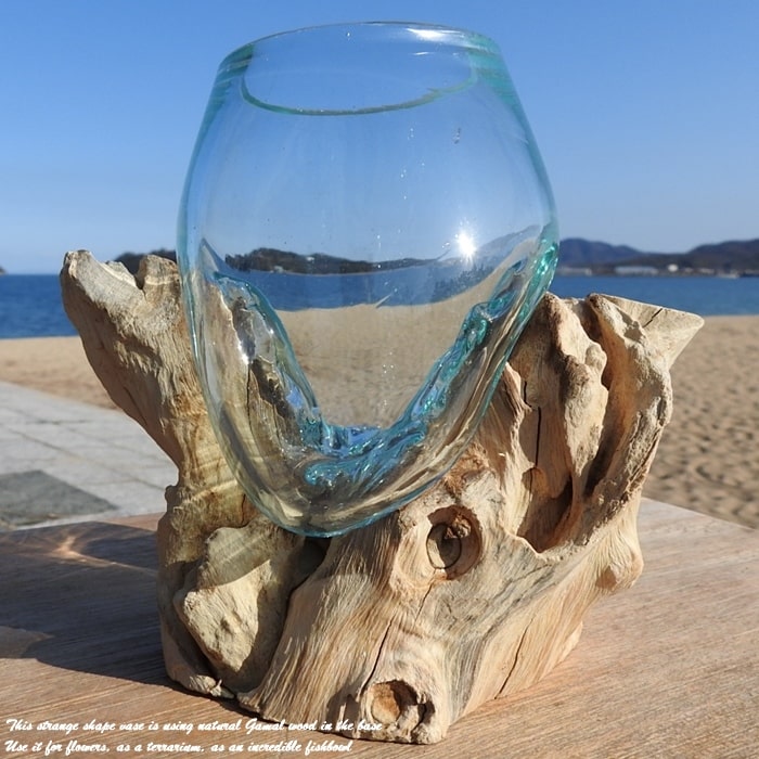 流木ガラス オブジェ中O 花瓶 金魚鉢 ガーデニング テラリウム 観賞魚 容器