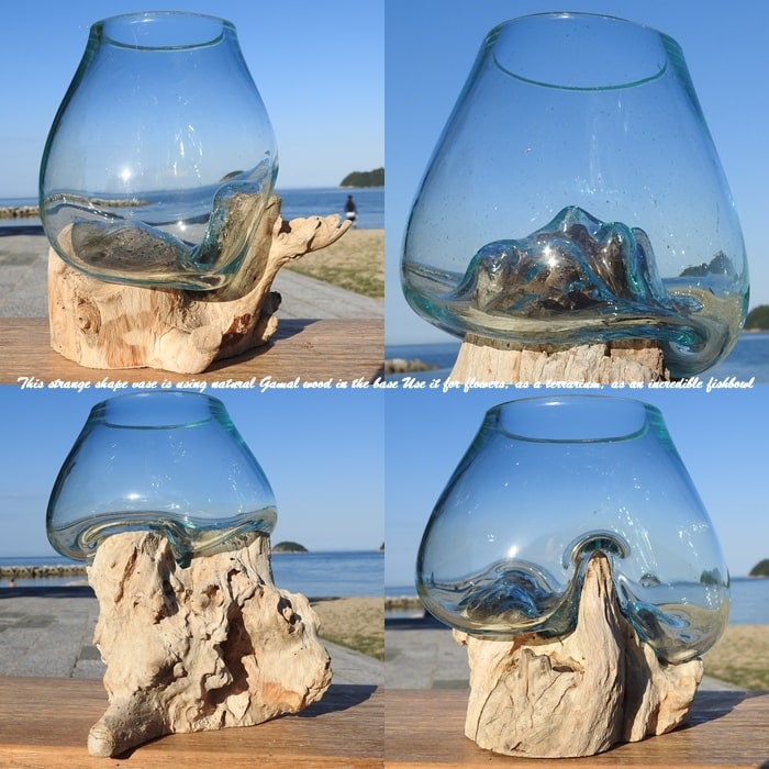 送料無料】バリ島流木ガラスビッグサイズw50×d40×h62cm メダカ6-A 送料