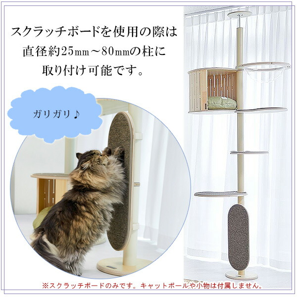 楽天市場】【クーポン有り】ガトブランコ スクラッチボード 猫用 爪
