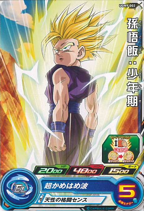 ドラゴンボール めちゃんこプロジェクトNo.1 孫悟空&悟飯【TORI