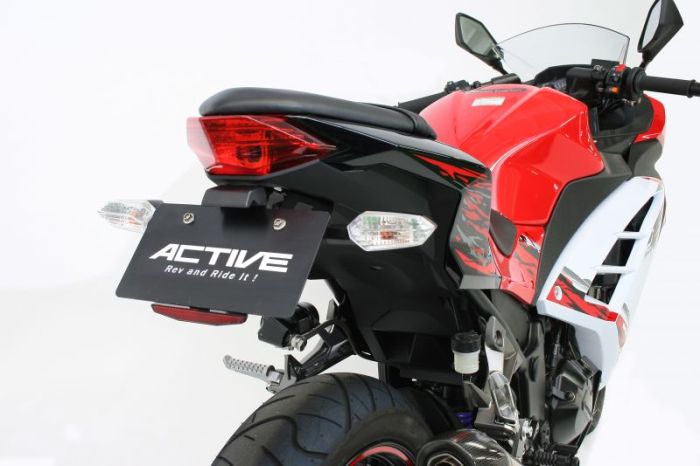 Ninja250SL BA250A ヘッドライト フェンダーレスセット Ninja250SL