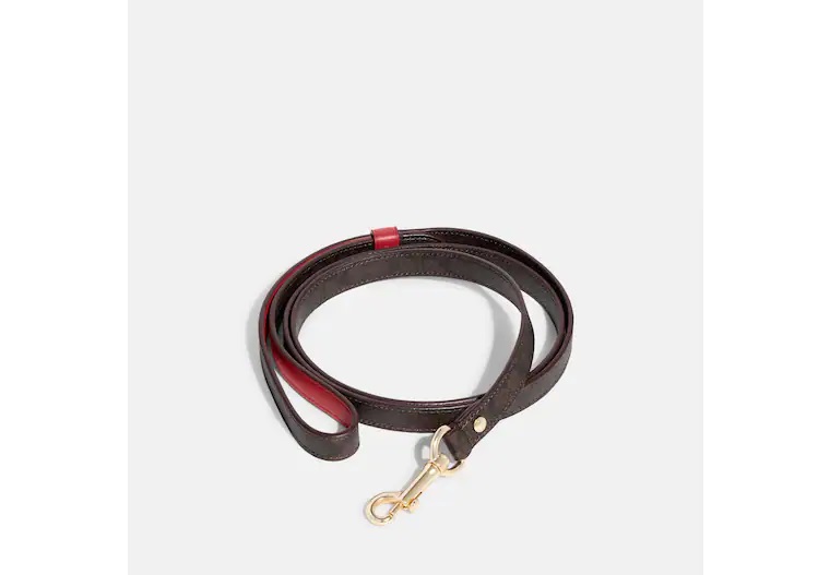 楽天市場】コーチ coach ボックスド スモールペット リーシュ