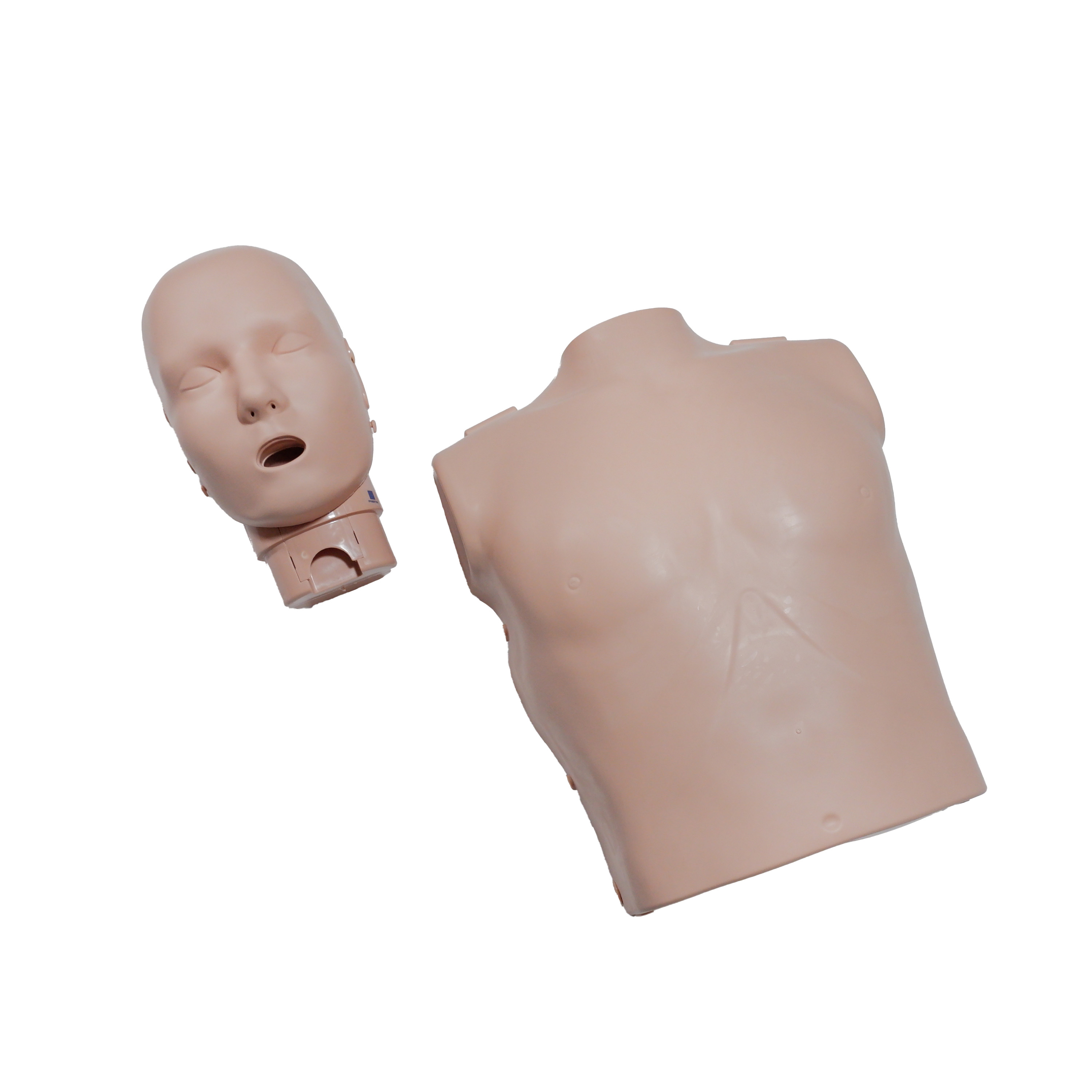 楽天市場】Prestan 心肺蘇生 CPR マネキン 大人用 トレーニング