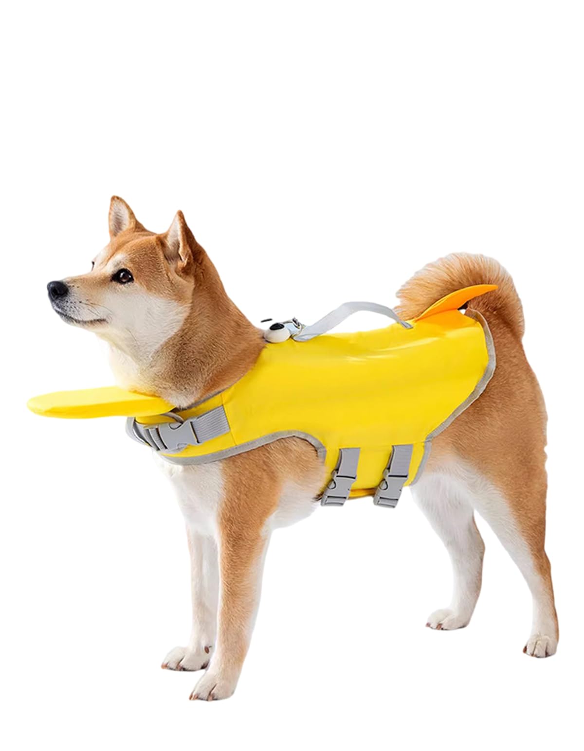 楽天市場】ライフジャケット 犬用 小型犬 中型犬 大型犬 ペット用品