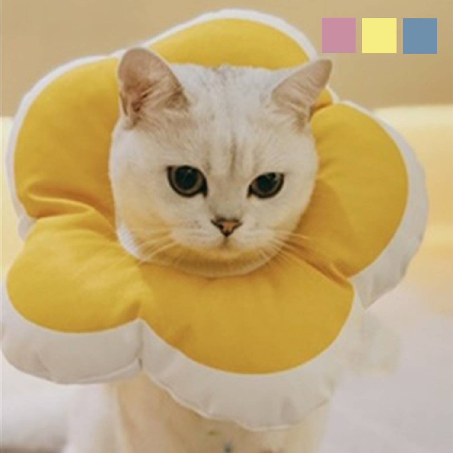 楽天市場】ネコ エリザベス カラー 犬 猫 ペット 花形 フラワー