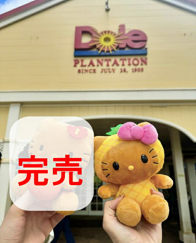 楽天市場】2月13日（金）☆発送可能☆希少限定商品【早いもの勝ち